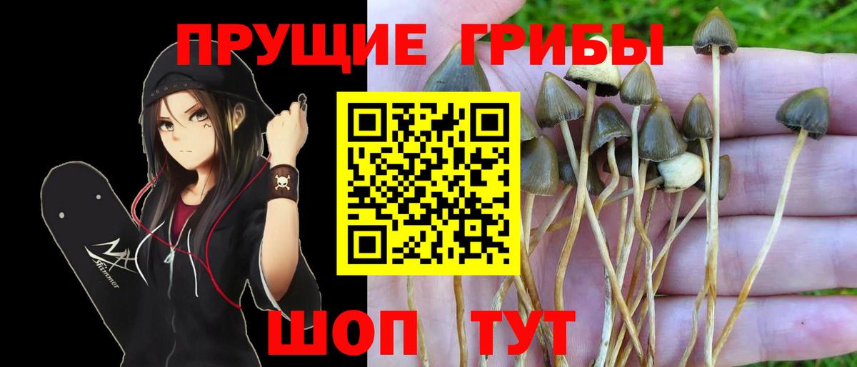 Псилоцибиновые грибы прущие грибы  Вход с VPN  Галлюциногенные грибы MAGIC MUSHROOMS  Донецк 